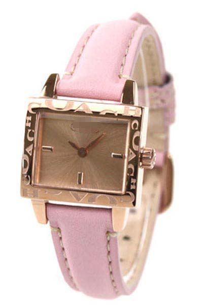 Swiss Watch Battery 14501336