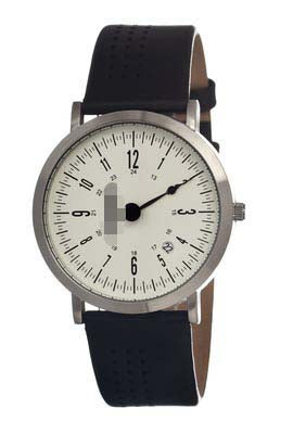 Swiss Watch Battery 2501