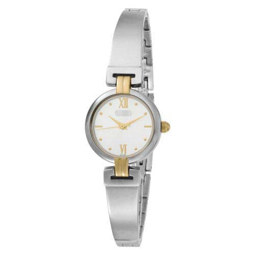 Swiss Watch Battery 45L108