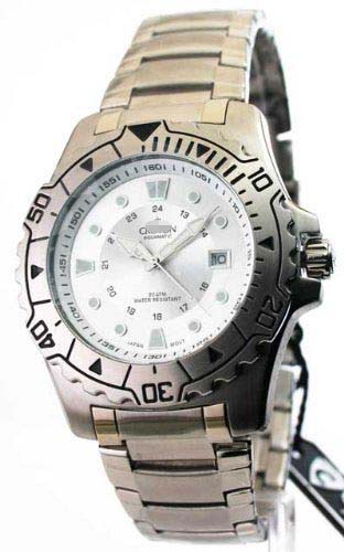 Swiss Watch Battery CA301166SSSL
