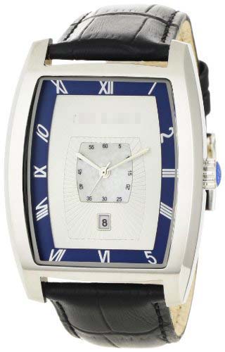Swiss Watch Battery TE1066
