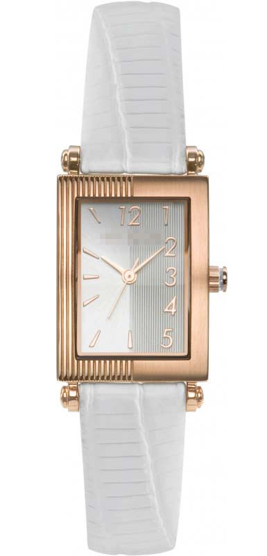 Swiss Watch Battery TE2003
