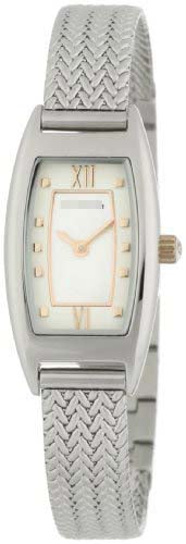 Swiss Watch Battery TE4054