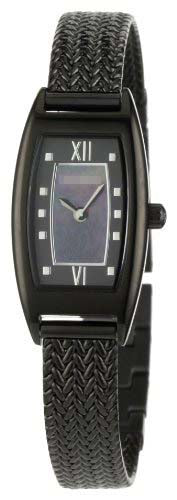 Swiss Watch Battery TE4055