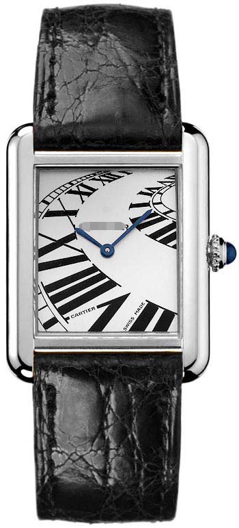 Swiss Watch Battery W5200018