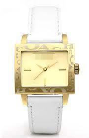 Custom Watch Dial 14501334