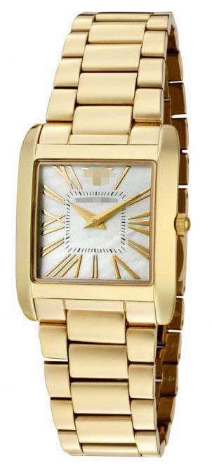 Customized Stainless Steel Watch Belt AR2052