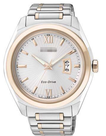 Customize Stainless Steel Watch Bracelets AW1104-55A