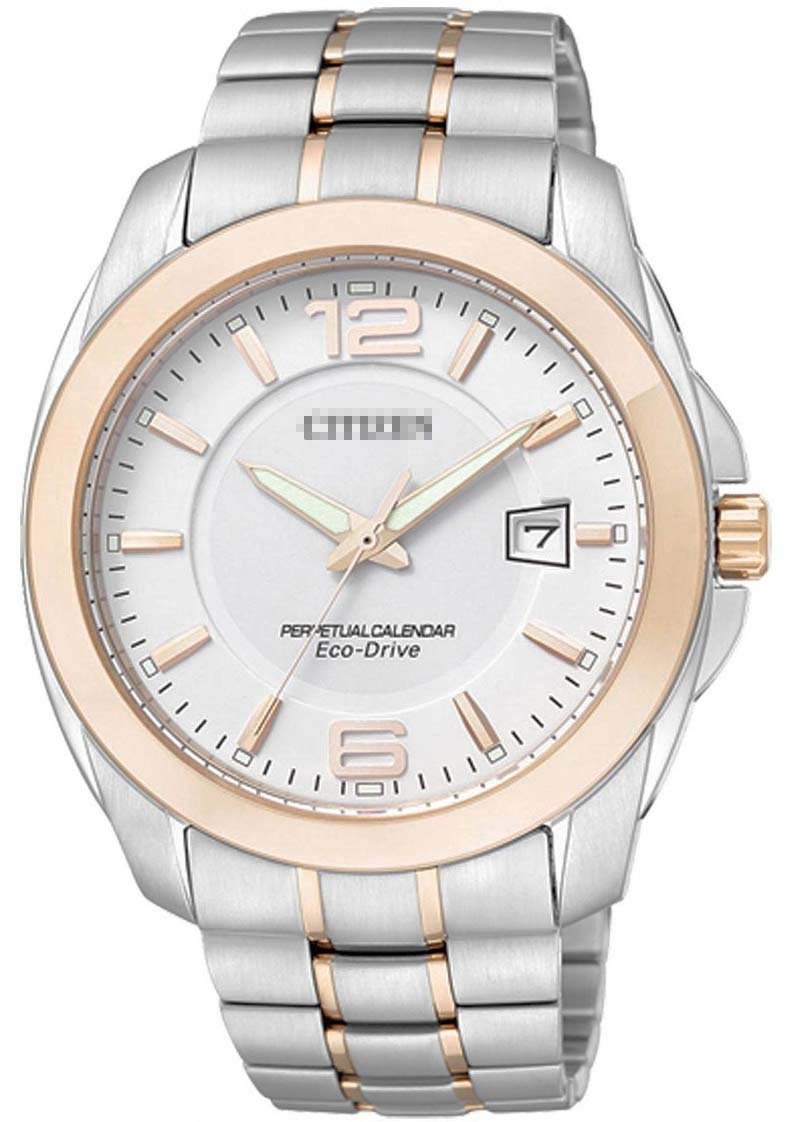 Custom Stainless Steel Watch Bracelets BL1248-57A