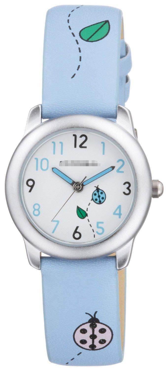 Wholesale Nylon Watch Bands CK102-13