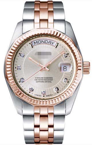 Custom Stainless Steel Watch Bands D105RIY