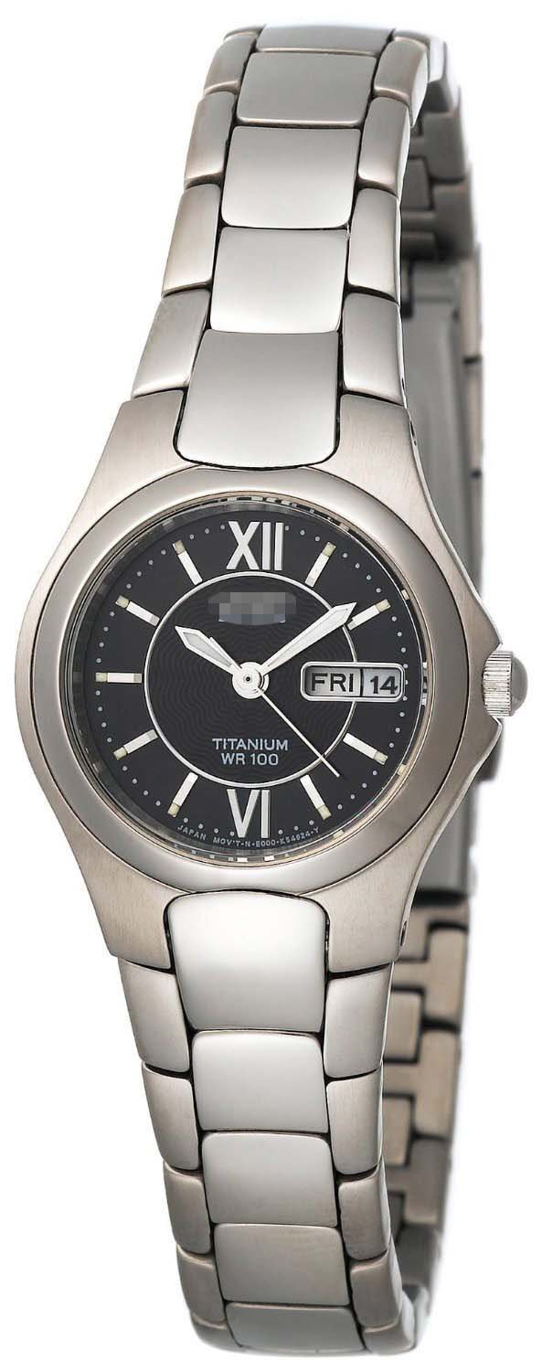 Custom Black Watch Dial EW3050-52E