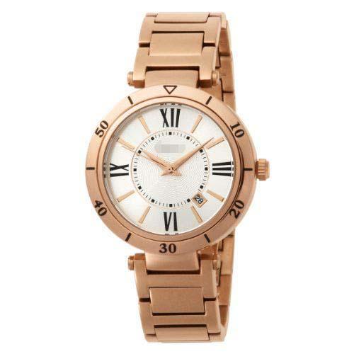 Custom Stainless Steel Watch Belt HA1141RG-9