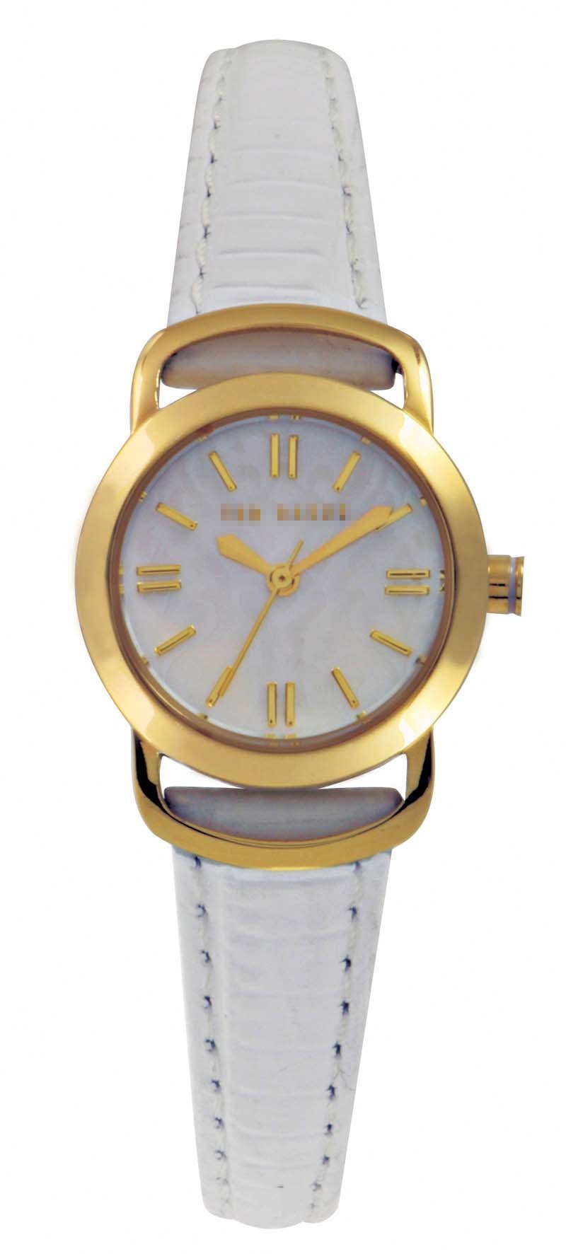 Custom White Watch Dial TE2054