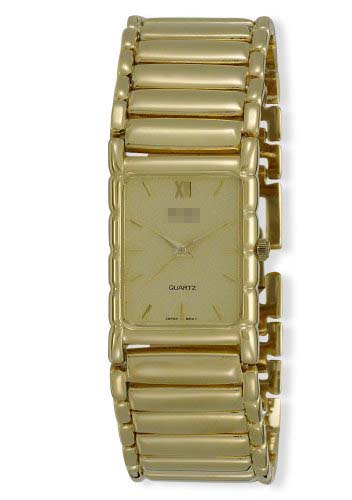 Swiss Watch Battery 0189GX