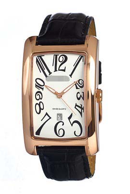 Swiss Watch Battery 504