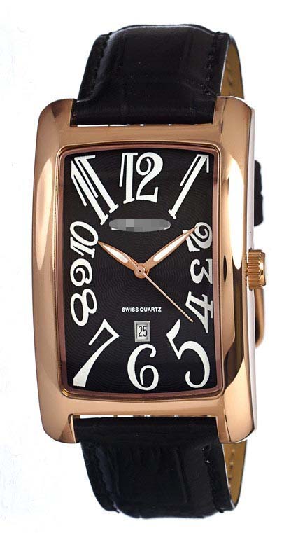 Swiss Watch Battery 505