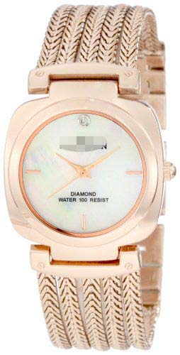 Swiss Watch Battery 10/9764MPRG