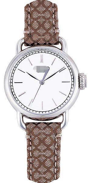 Swiss Watch Battery 14501262
