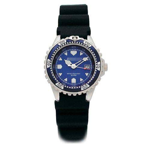 Swiss Watch Battery 1M-DV01A1T