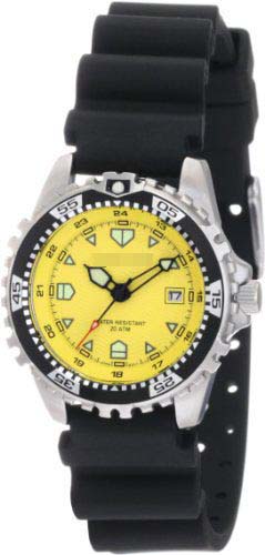 Swiss Watch Battery 1M-DV01Y1B