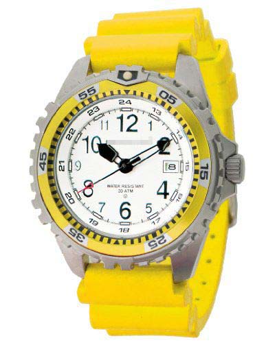 Swiss Watch Battery 1M-DV11WY1Y