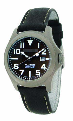 Swiss Watch Battery 1M-SP01C2B