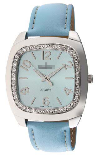 Swiss Watch Battery 310BL