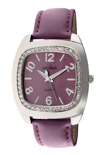 Swiss Watch Battery 310PR