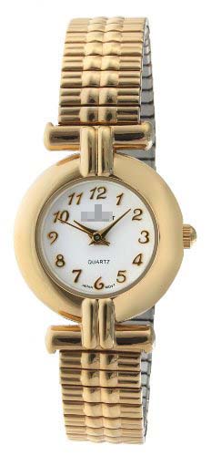 Swiss Watch Battery 425G