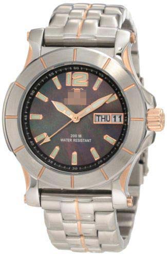 Swiss Watch Battery 66101