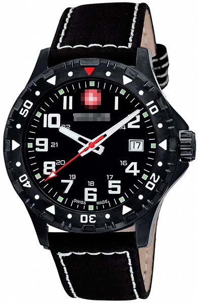 Swiss Watch Battery 79304W
