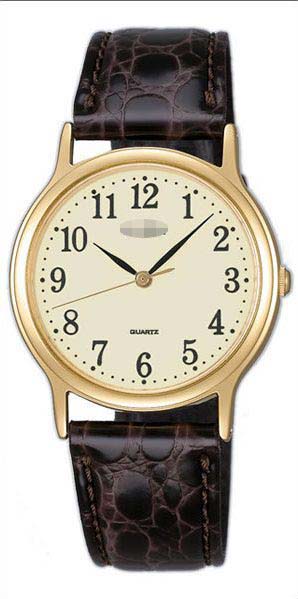 Swiss Watch Battery AIGN003_japan