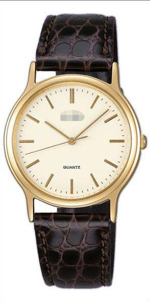 Swiss Watch Battery AIGN004_japan