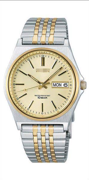 Swiss Watch Battery AIGT001_japan