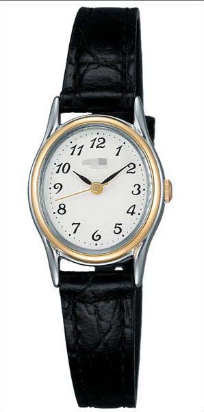 Swiss Watch Battery AIHK001_japan