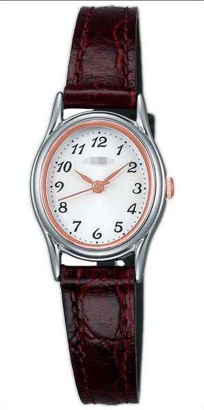 Swiss Watch Battery AIHK003_japan