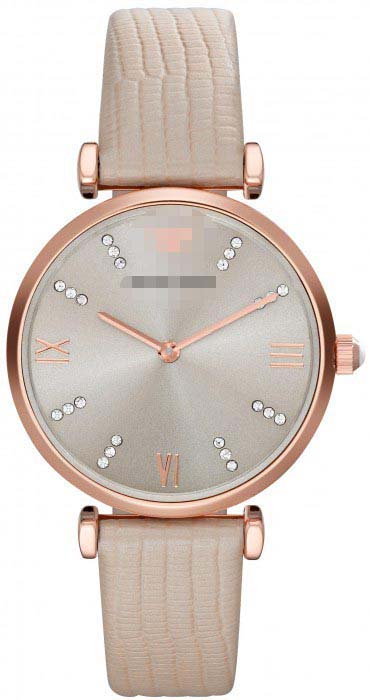 Swiss Watch Battery AR1681