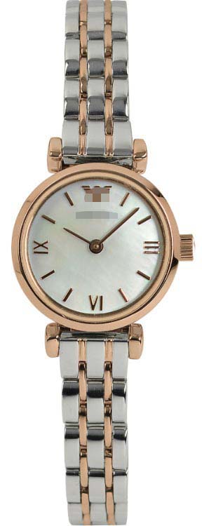 Swiss Watch Battery AR1689