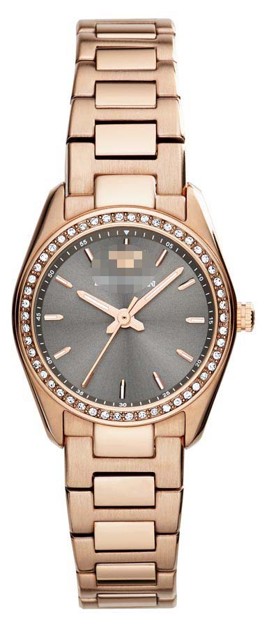 Swiss Watch Battery AR6030