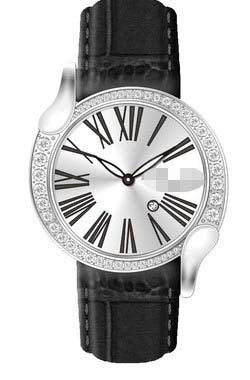Swiss Watch Battery BR2501