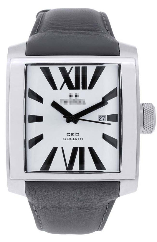 Swiss Watch Battery CE3002