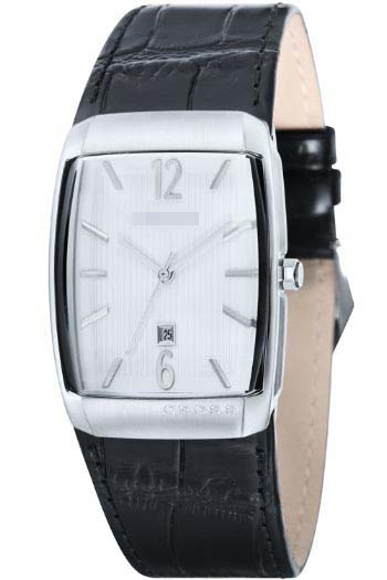 Swiss Watch Battery CR8005-02