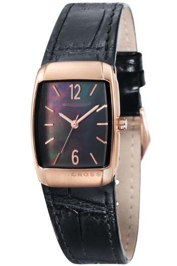 Swiss Watch Battery CR9005-04