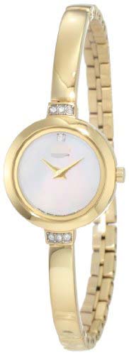Swiss Watch Battery EW9922-54D