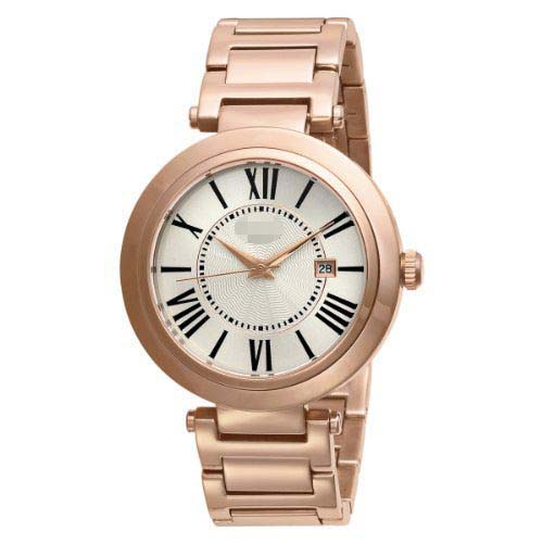 Swiss Watch Battery HA1134RG-9