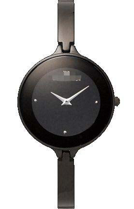 Swiss Watch Battery IV64Q747