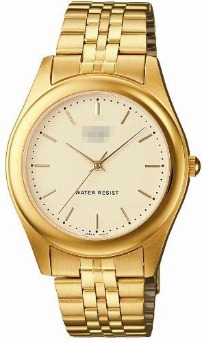 Swiss Watch Battery MTP-1129N-9AJF_japan