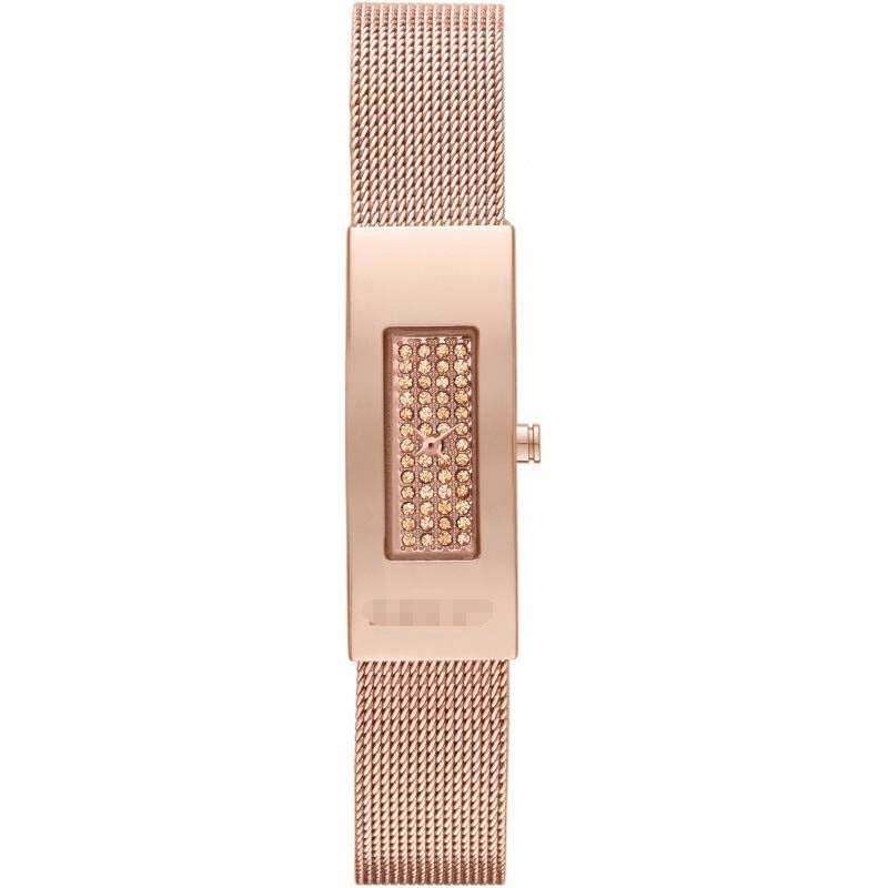 Swiss Watch Battery NY2111