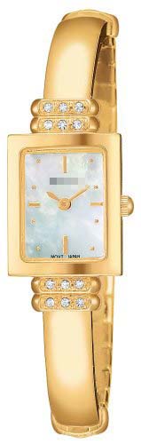 Swiss Watch Battery PEGA14